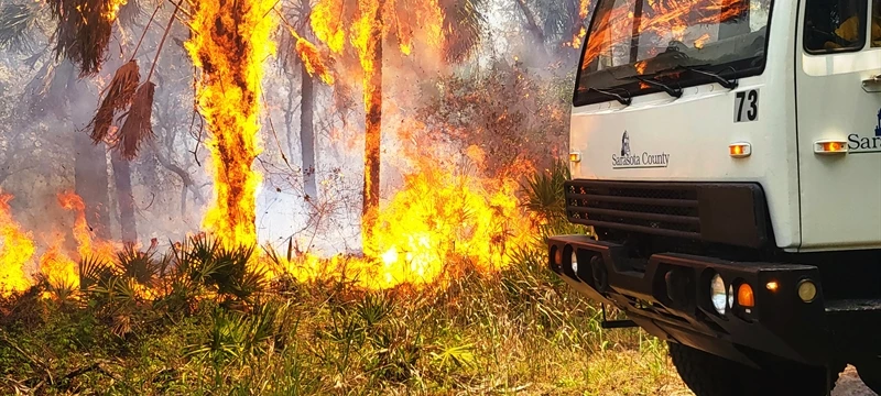 LIGHTING STRIKE SCORCHES 100 ACERS IN CARLTON RESERVE