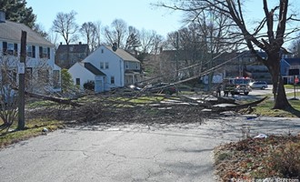 High Winds Cause Damage in Waltham