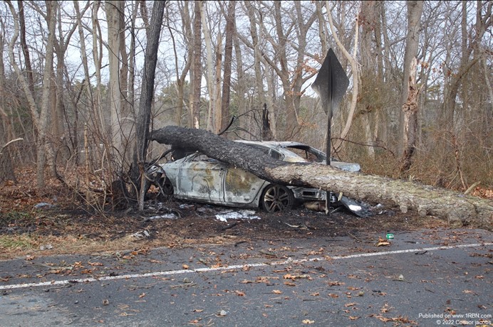 Car Bursts Into Flames After Hitting Tree In Brookhaven 