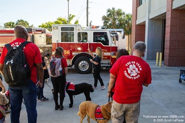 Therapy Dog Training