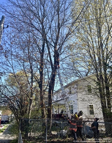 story image