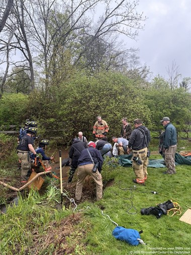 Horse Rescued from Stream in Bloomfield