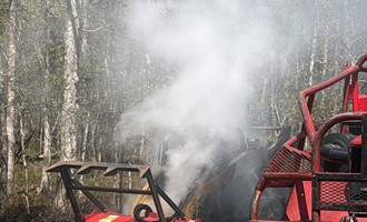 Bobcat Fire Extinguished After Crews Locate Hidden Blaze in Yaphank Woods