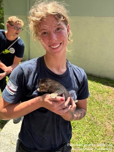 Kitten Rescued from Roof Void by Pooler Fire-Rescue