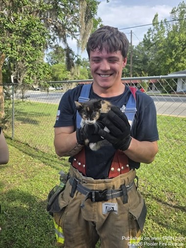 Kitten Rescued from Vehicle Engine Compartment