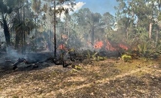 Crews Contain Nearly 40-Acre Brush Fire in Indiantown