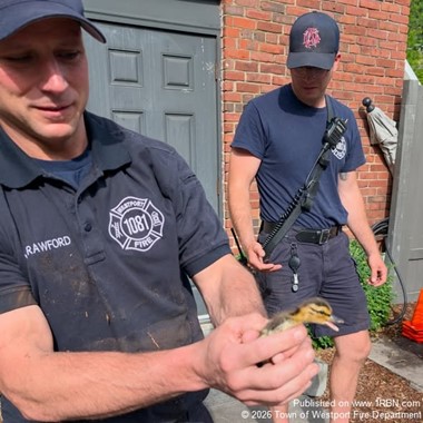 Tiny Lives Saved: Firefighters Rescue Ducklings from Storm Drain, Reunite Family
