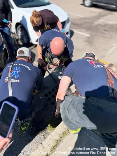 Ladder 2 Responds to Duckling Rescue at Battery Park