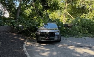 Emergency Crews Respond After Tree Crashes Into Utility Wires in Ramsey