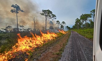 LIGHTING SPARKS 960 ACRE FIRE IN CARLTON RESERVE
