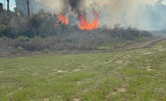 Wildfire Near Dunnellon Fully Contained Following Coordinated Response