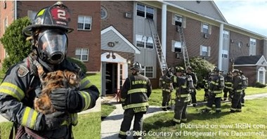 Bridgewater Firefighters Rescue Cat During Apartment Fire