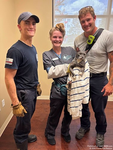 Firefighters Safely Rescue Cat from Storm Drain