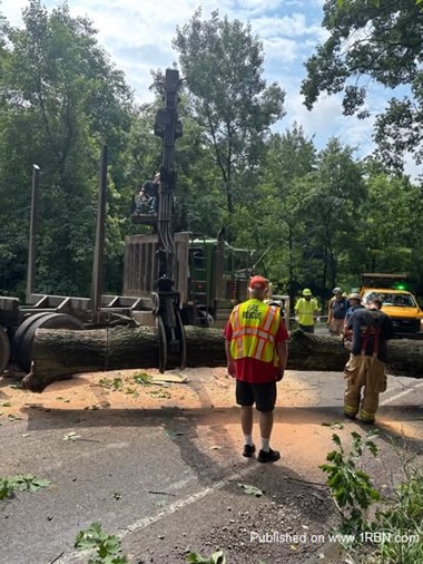 Dayton Firefighters Help Reopen Route 839 After Fallen Tree