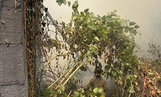 Vacant Structure Fire Collapses, Crews Contain Blaze with Defensive Operations