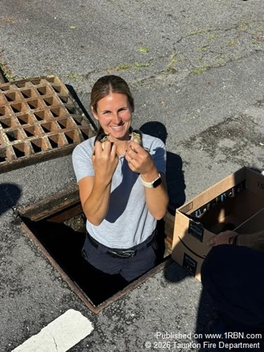 Engine 3 Crew Safely Rescues Ducklings Trapped in Storm Drain