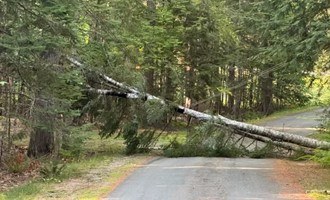 Orland Fire Department Responds to Downed Wires and Small Fire