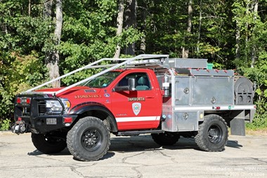 Tamworth Forestry 1