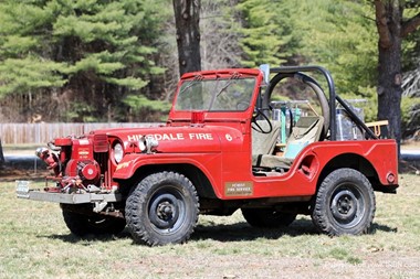 Hinsdale Brush 6