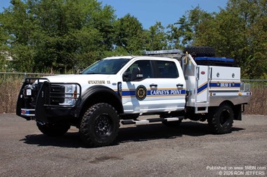 Carneys Point Brush 11