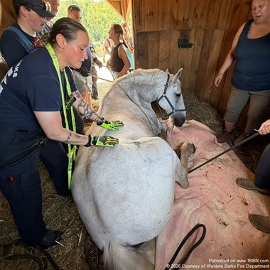 Western Berks Firefighters Assisted With Horse Rescue