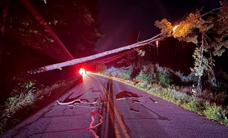 Bernardston Firefighters Respond to Burning Tree on Power Lines