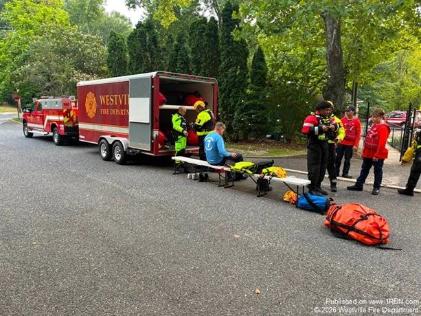 story image