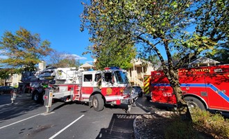 Fire Chief and Patrolman Make Grab in Clinton Twp.