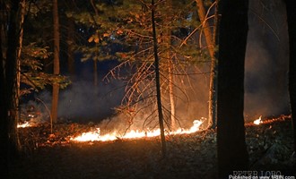 Brush Fire in Waltham