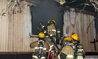 2 dogs die in mobile home fire