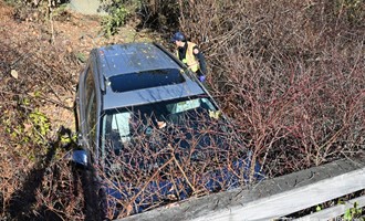 Car Rolls Down Embankment in Waltham