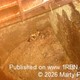 story img