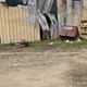 story img