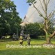 story img