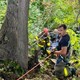 story img