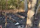 Crews Extinguish Vacant Structure Fire in Wooded Area