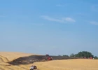 Central Berks Fire Company Contained Five-Acre Brush Fire